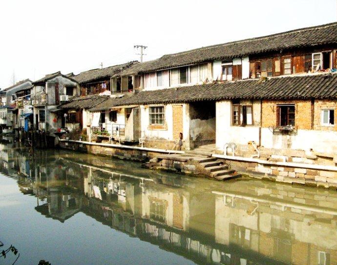 洞庭月历丨水鸟:“湖水清澈,倒映着我”